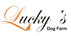 Translation missing: en.LUCKYS DOG FARM accessibility.home