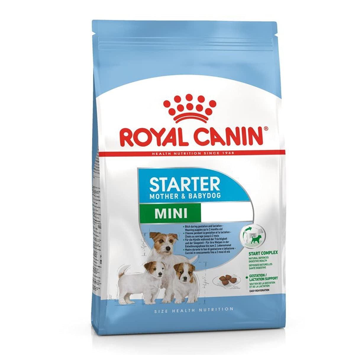 Royal Canin mini Starter 1kg/4kg