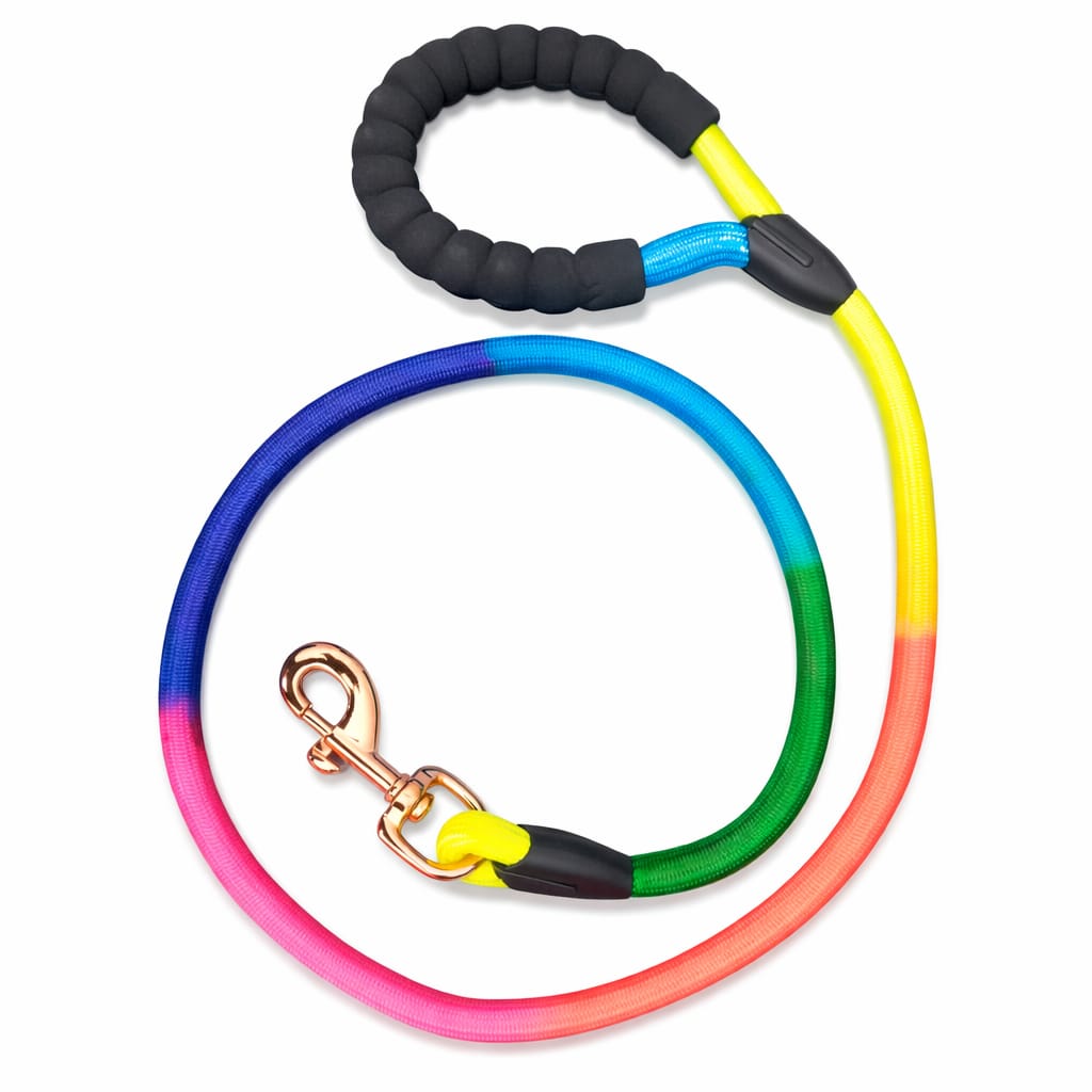 RAINBOW ROPE DOG LEASH 16MM
