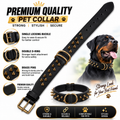 Premium Black Leather Spike Dog Collar