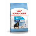 Royal Canin Maxi Puppy Dog Food 1kg (10% OFF)